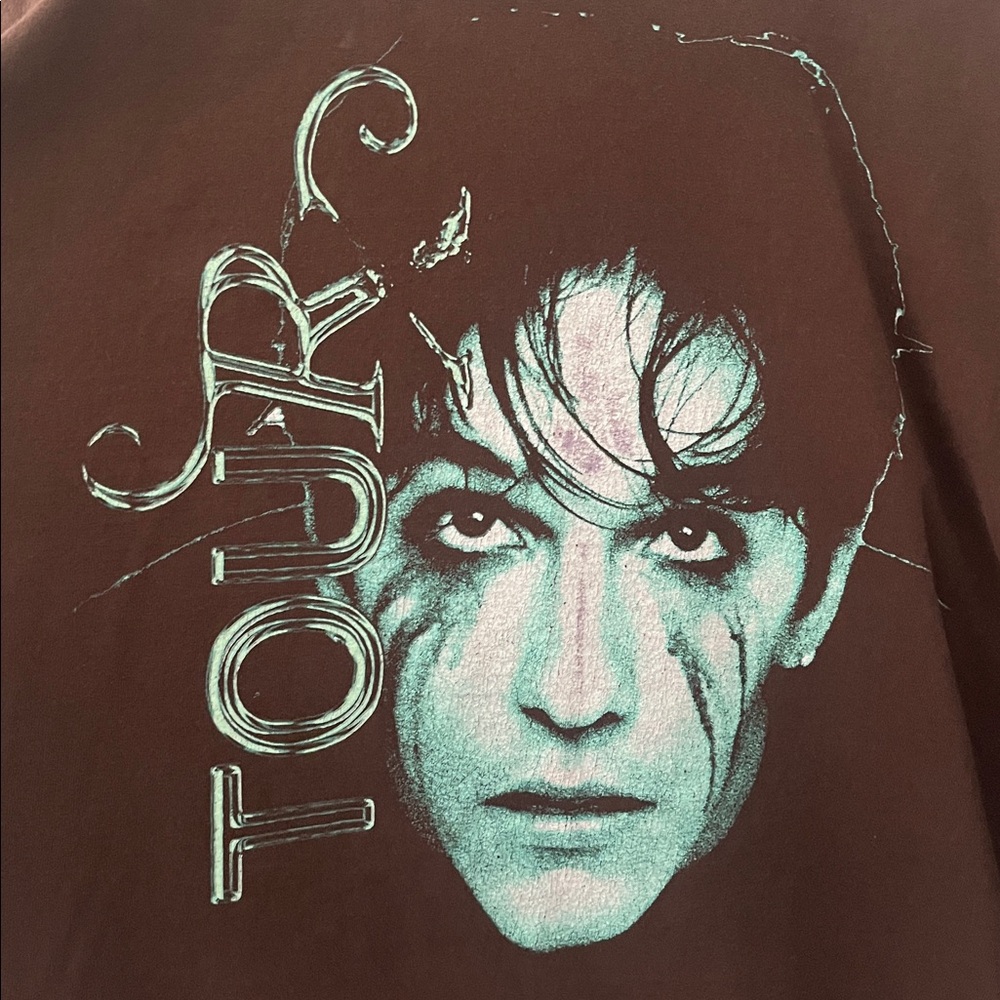 Role Model Tour Band Tee Shirt Men's XL Brown Los Angeles Apparel 100% Cotton